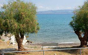 La Mer Bleue Beachfront Boutique Apartments