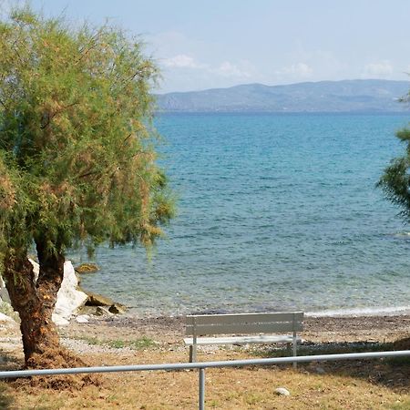 Vrahati La Mer Bleue Beachfront Boutique Apartments מראה חיצוני תמונה